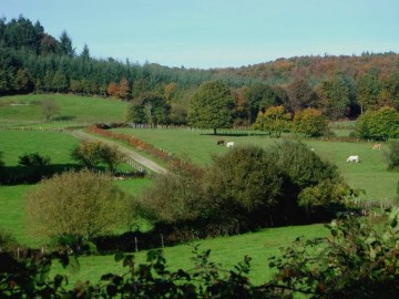 Gîtes de France 53