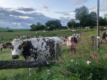 Gîtes de France Sarthe