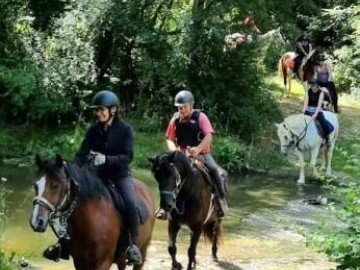 ©Vallée-de-l'erdre-equitation