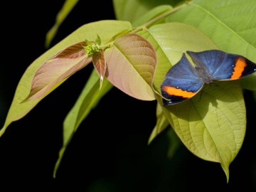 ©terra-botanica-angers