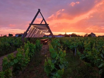 Domaine Jérémie Huchet