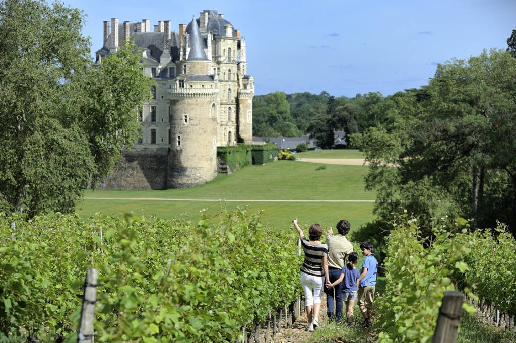 Routes Des Vins Chateau De Brissac Et Vignobles De L Aubance Weine Und Weinbaugebiete Frankreich Loiretal Atlantik