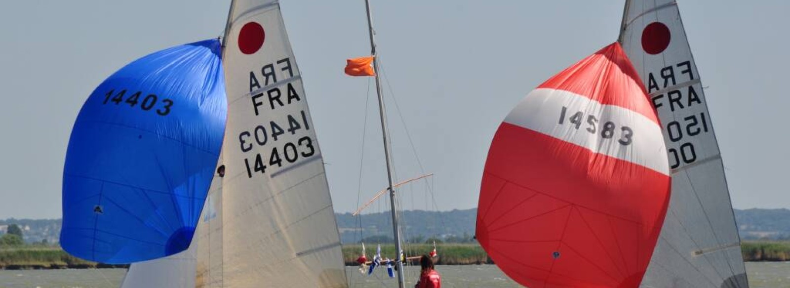 VOILE AVEC LE CLUB DE L'ESTUAIRE