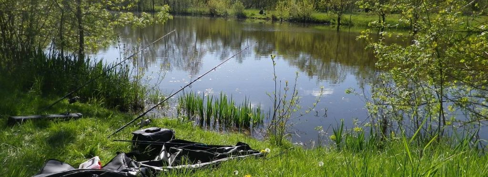 PECHE DANS LES BOIRES DE LA NIGAUDIERE ET DE LA ROMPURE