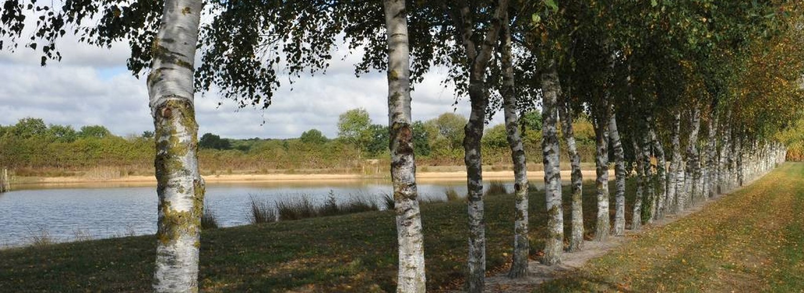 PECHE A L'ETANG DES NOUES