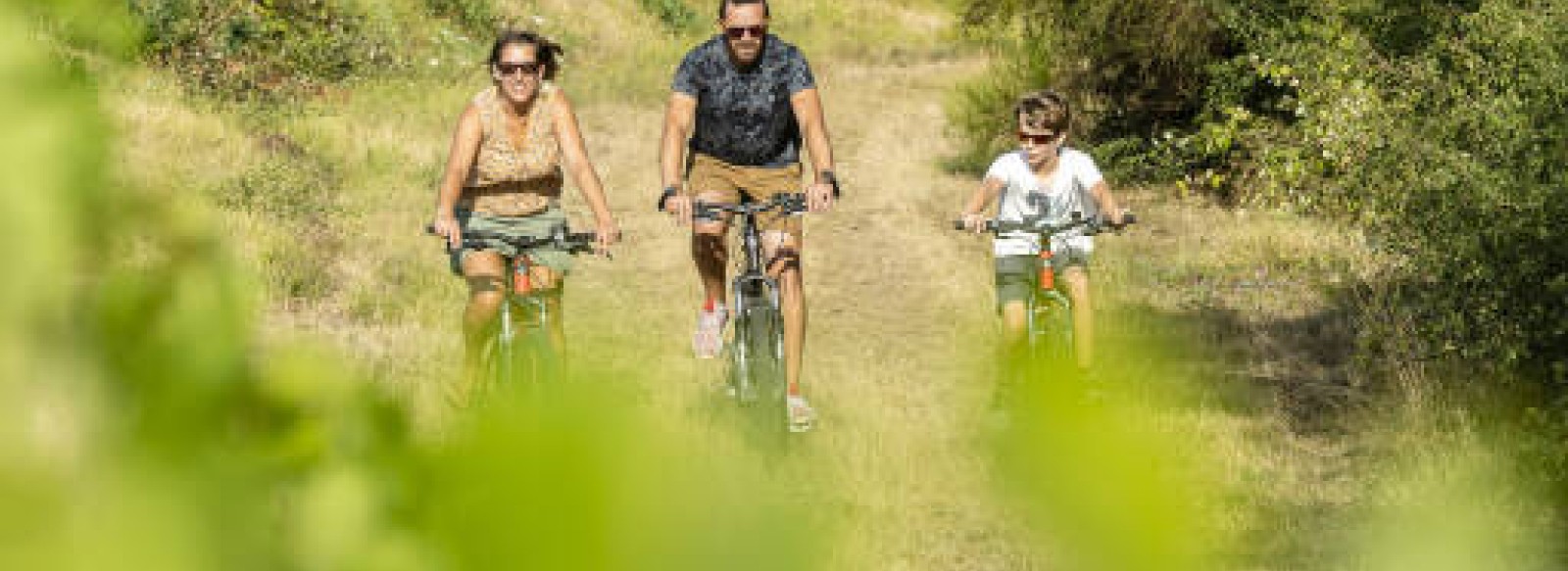 BALADE A VELO ENTRE VIGNOBLES ET PATRIMOINE