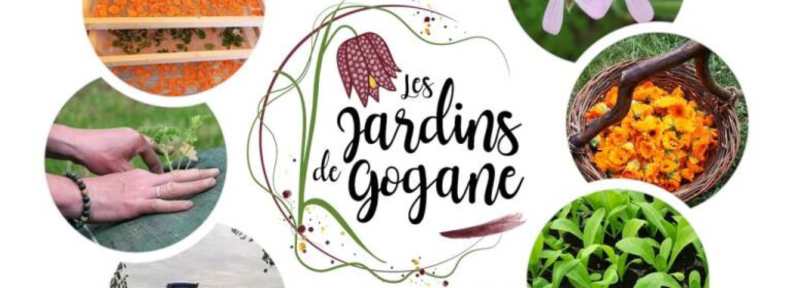 Les Jardins de Gogane