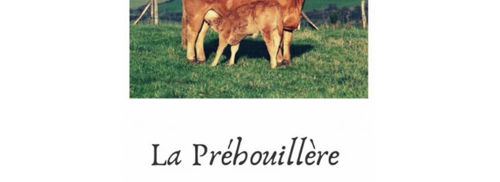 LA PREHOUILLIERE : VIANDE DE BOEUF