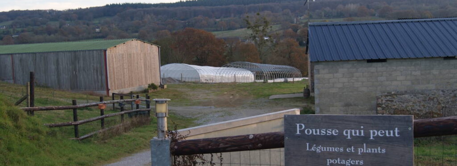 ENTREPRISE DE MARAICHAGE "POUSSE QUI PEUT"