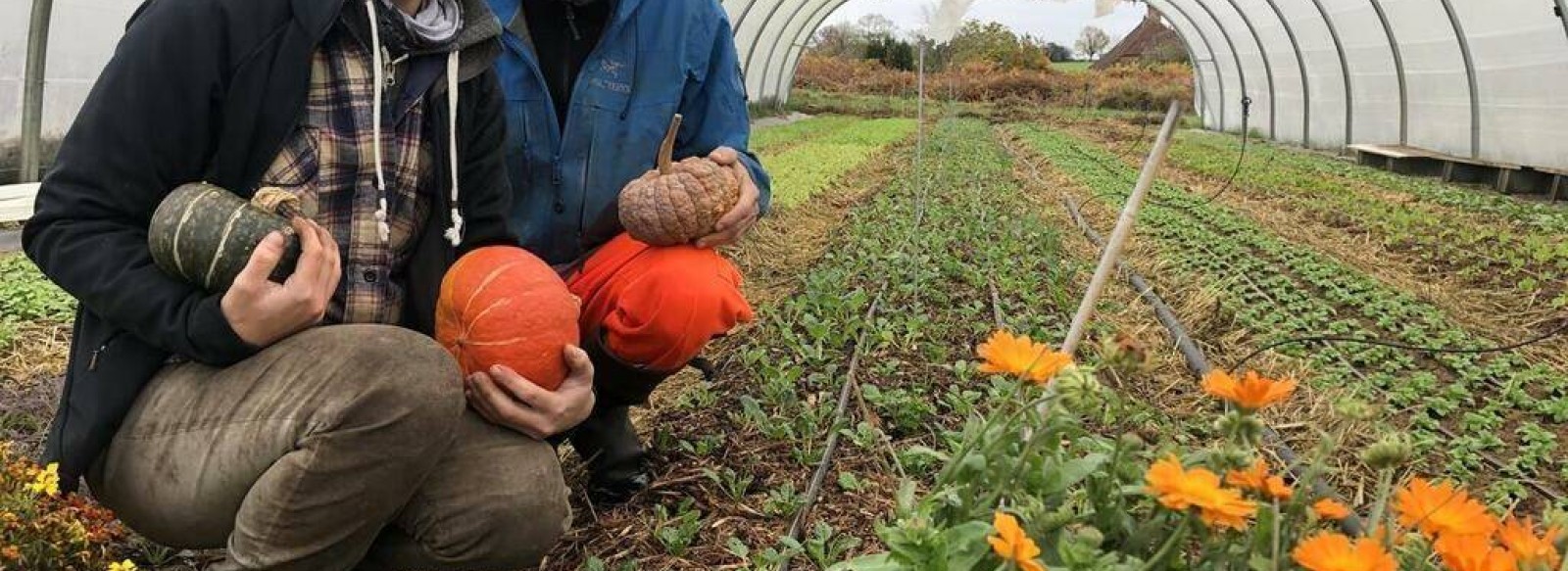 LES JARDINS VOYAGEURS