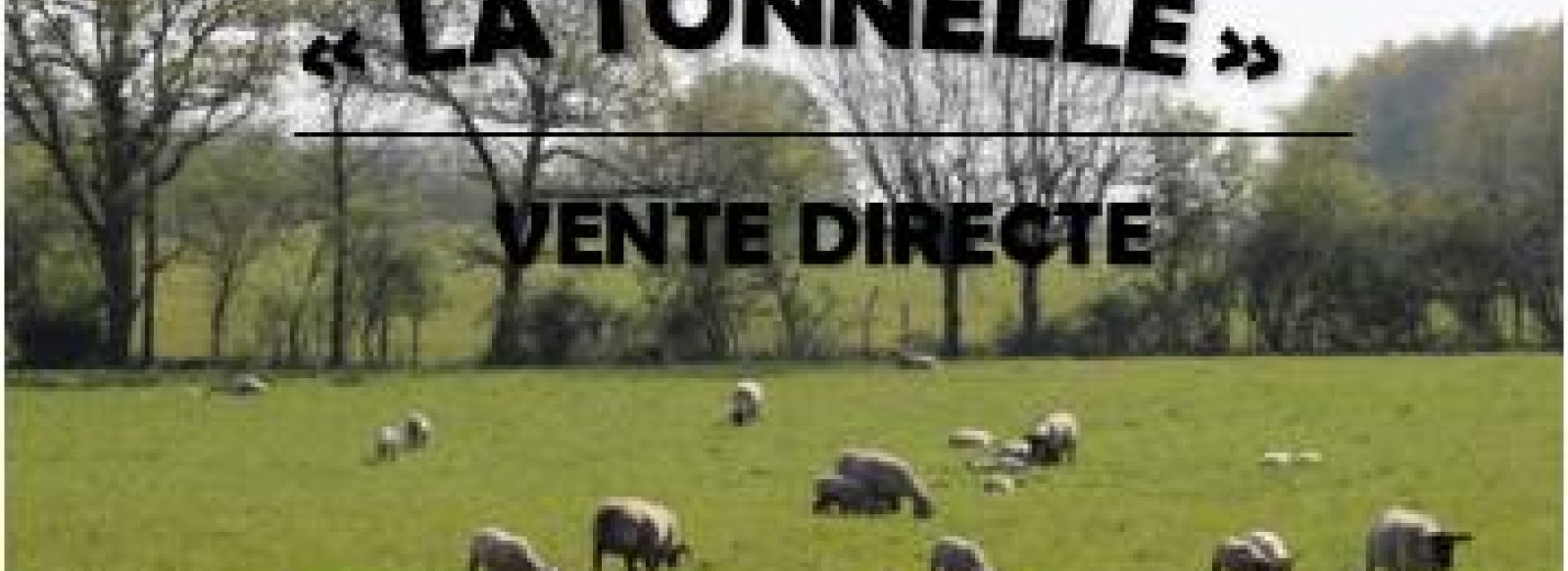 Vente a la ferme, Elevage La tonnelle