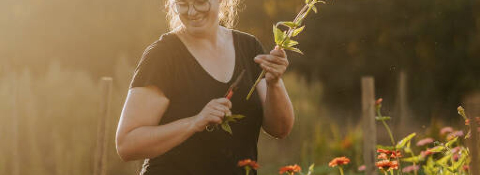 FERME FLORALE LES SINGULIERES