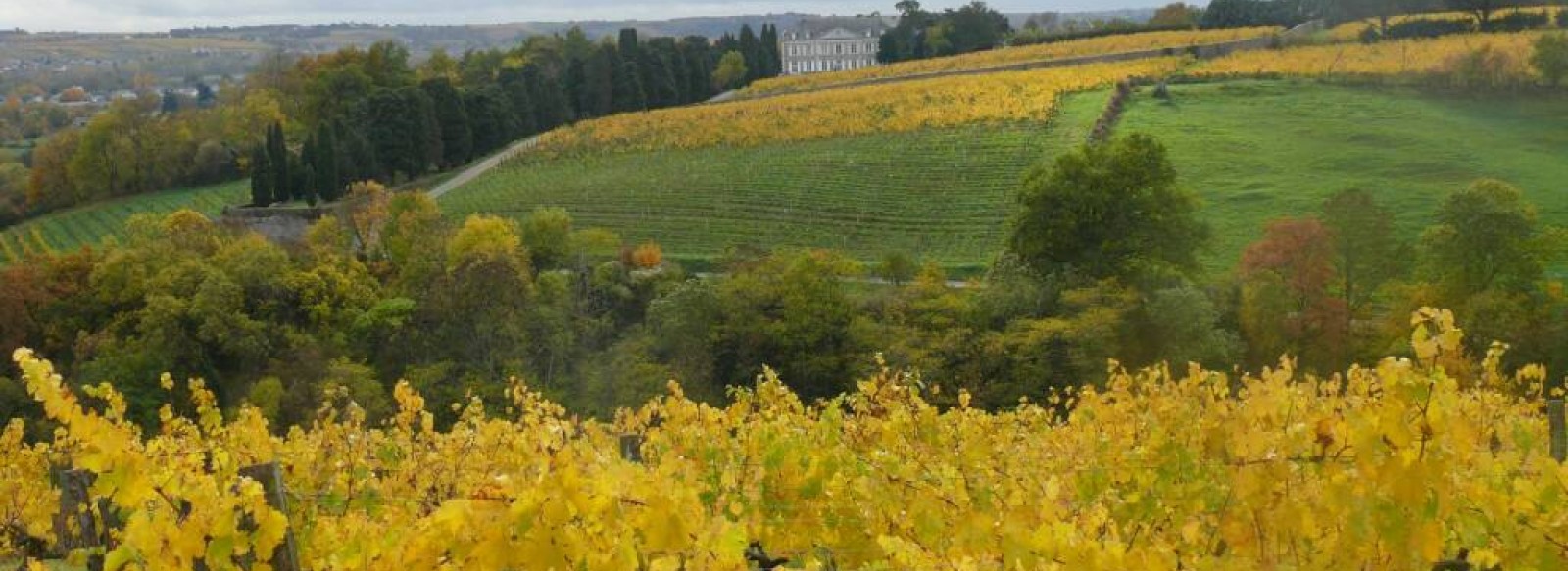 Clos de la Coulee de Serrant