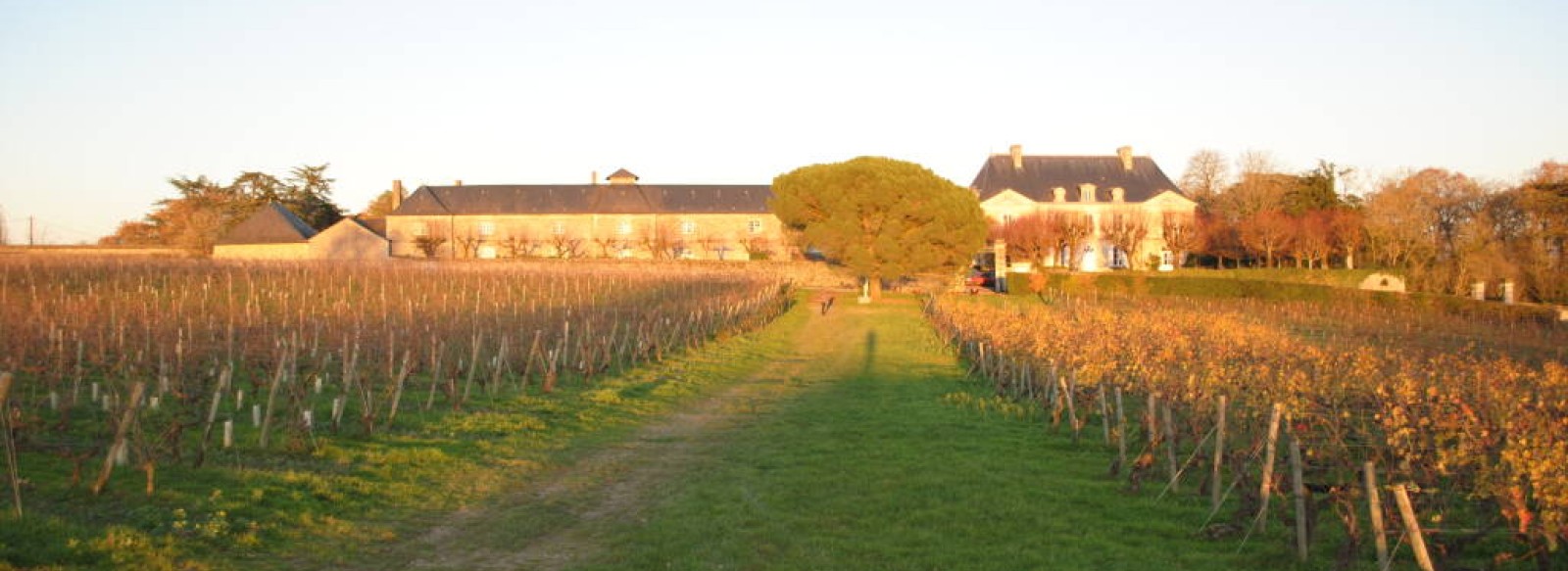 Domaine aux Moines