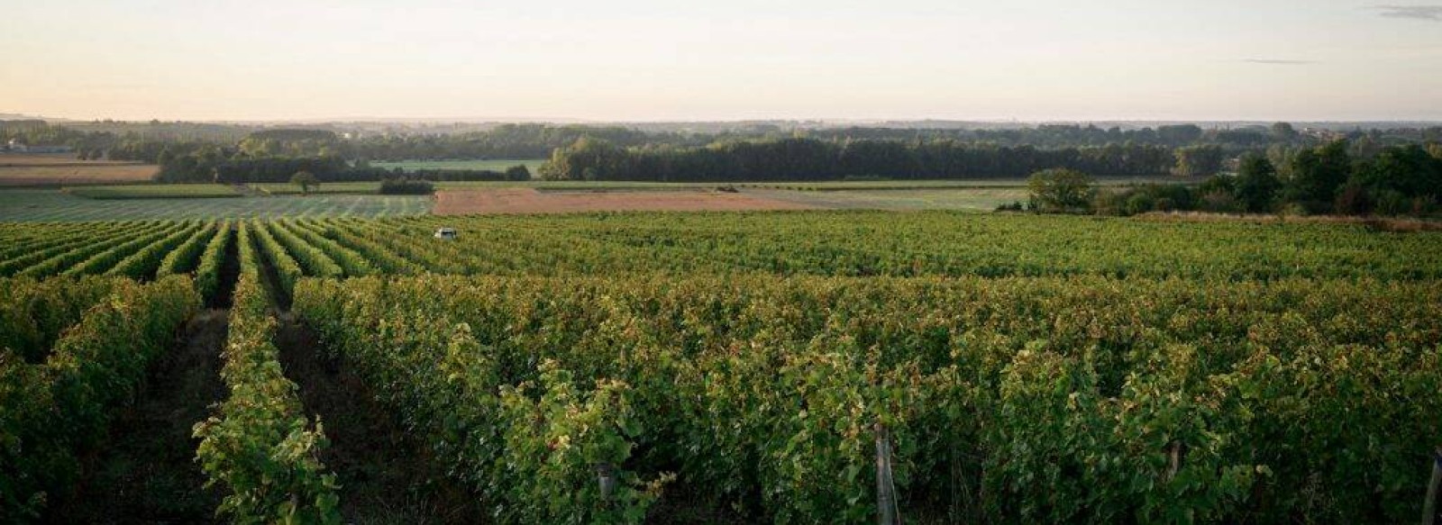 Domaine du Manoir de la Tete Rouge