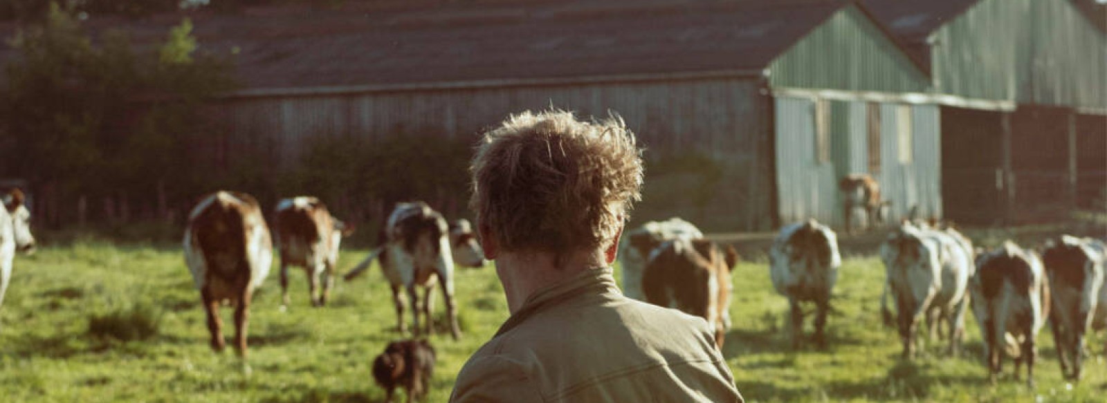 FESTIVAL GRAINES D'AUTOMNE : MON PERE AVAIT TROIS VACHES