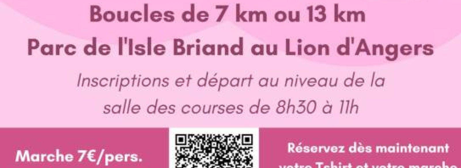 Marche pour Octobre Rose - Le Lion d'Angers