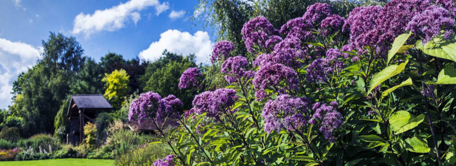 JOURNEES DU PATRIMOINE AUX JARDINS DES RENAUDIES