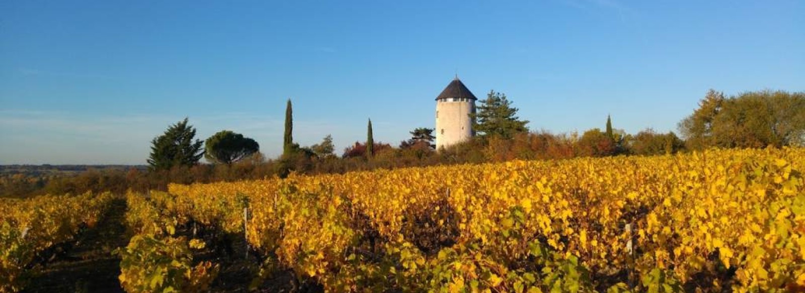 LES CHAMBRES D'HOTES DU MOULIN GEANT