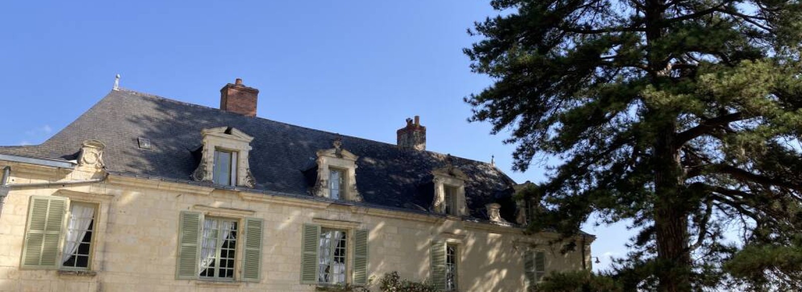 Chambres d'hotes Chateau de la Boussiniere