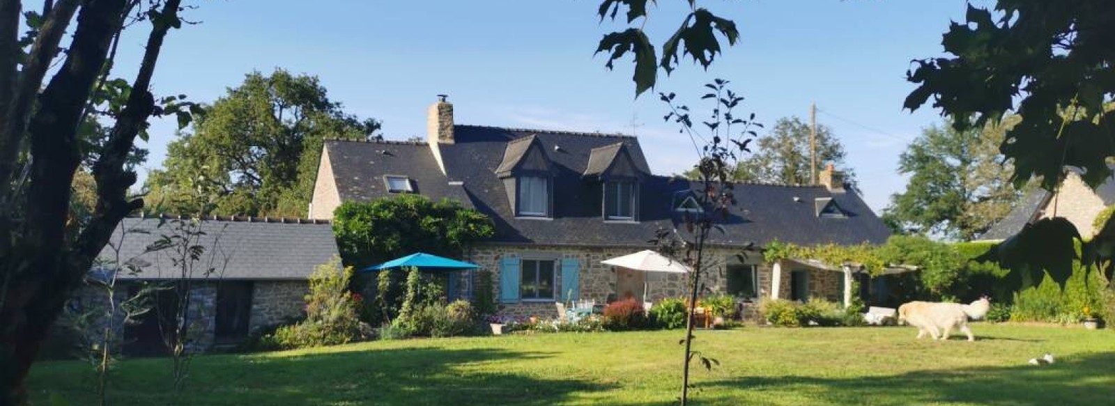 CHAMBRE D'HOTE "AU COEUR DE LA NATURE"