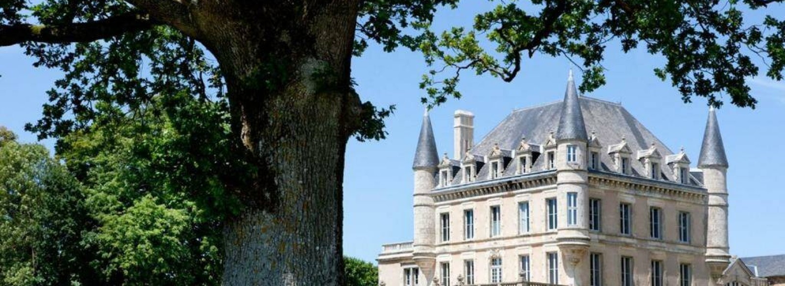 CHAMBRE D'HOTES "CHATEAU DE LA GOUJONNERIE"