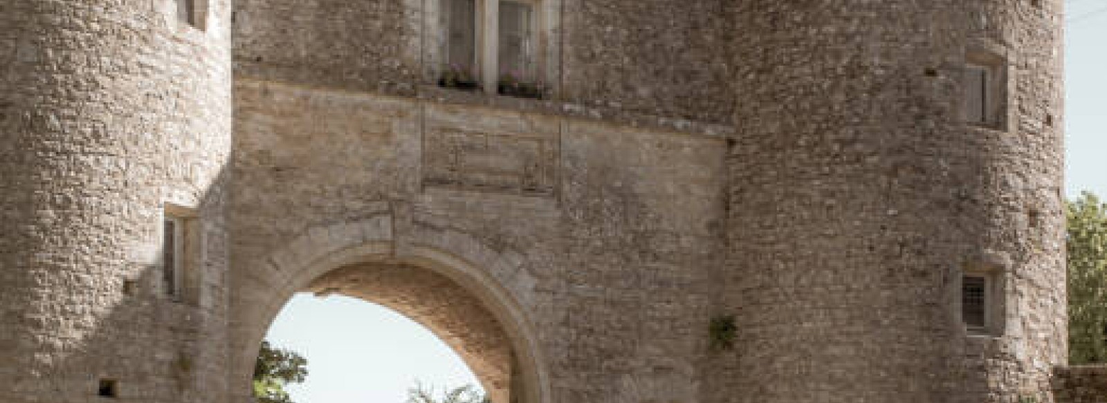 CHAMBRE D'HOTES "CHATEAU DE LA CRESSONNIERE"