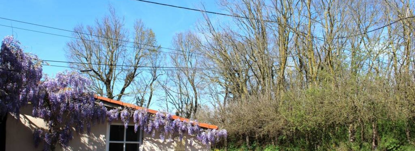 Au calme de la campagne, agreable maison, son jardin fleuri et ses 2 terrasses au Sud Ouest