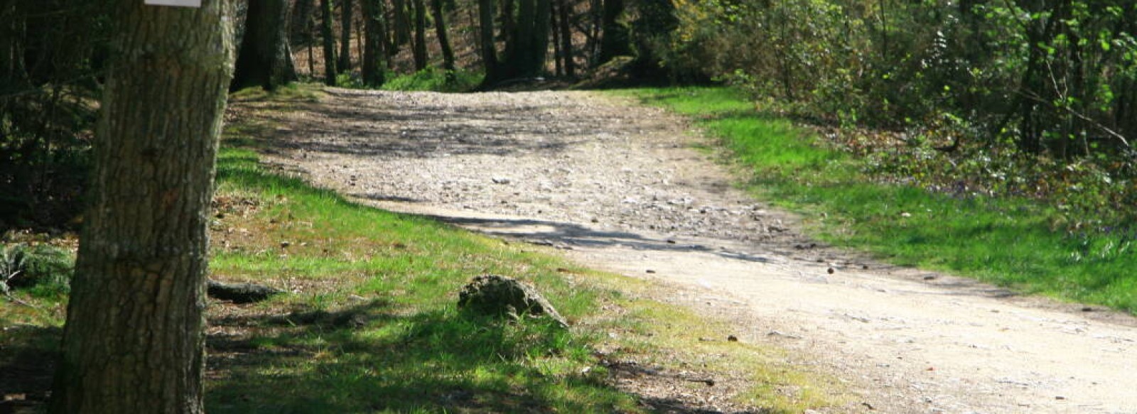 Circuit VTT n1 "Le Champ des Pas"