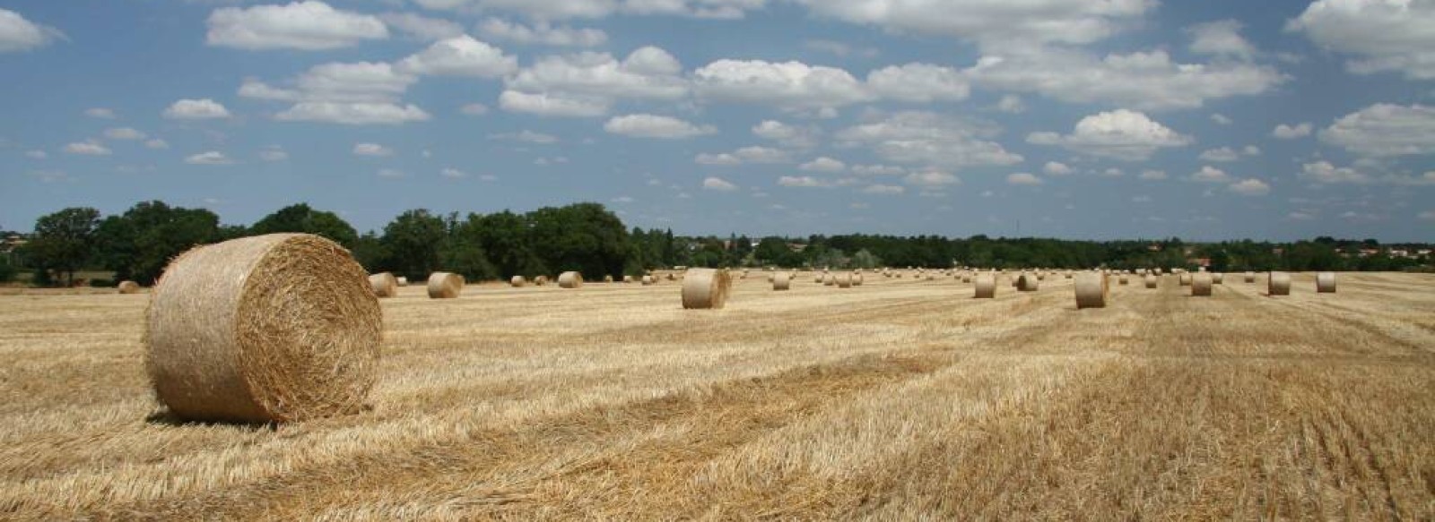 CIRCUIT DES LANDES