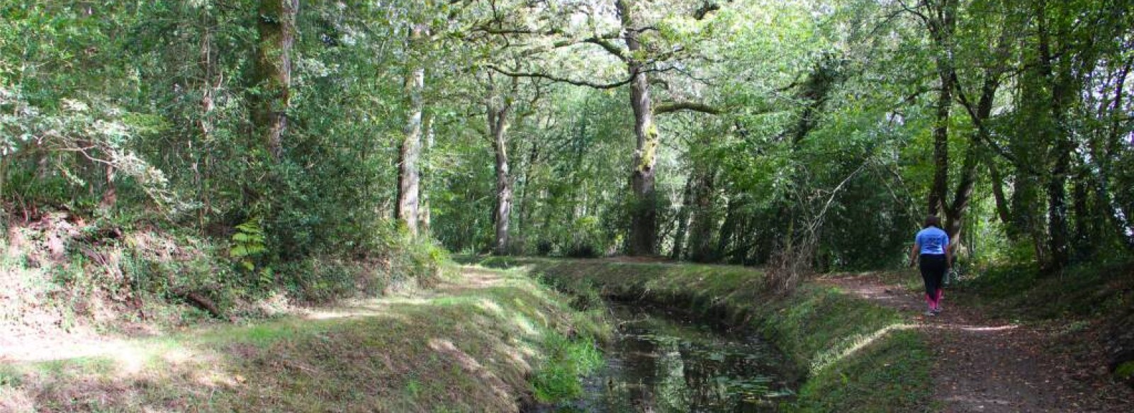 Circuit de la Rigole des Ajaux - Riaille