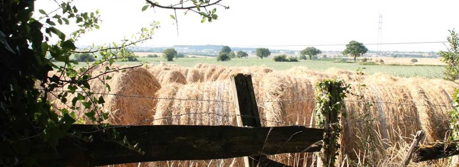 RANDONNEE LA DROILLE ET L'ARMAZIE