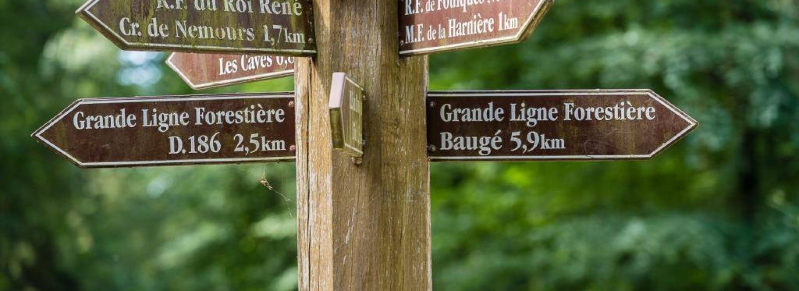 BOUCLE VELO MANOIRS ET FORETS DU BAUGEOIS