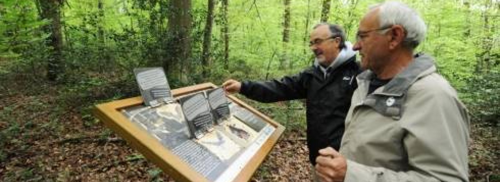 LE SENTIER DU MINEUR MASQUE A COMBREE