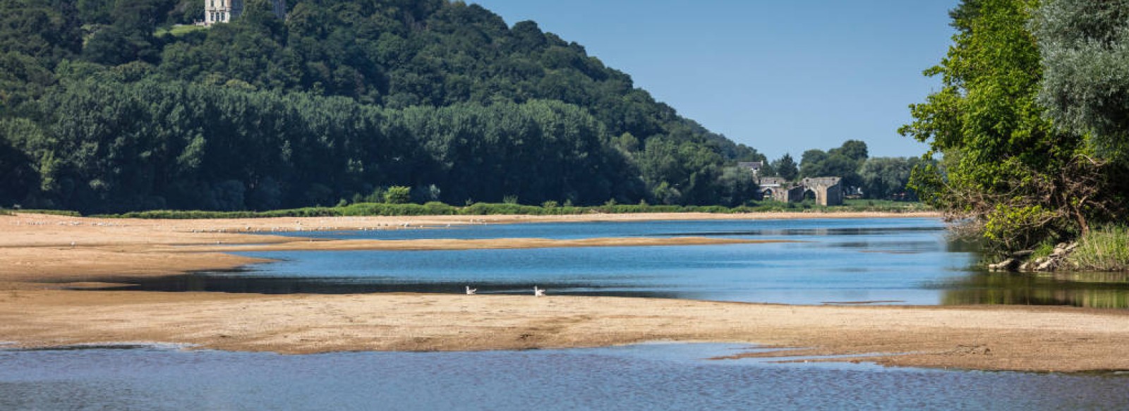 Parcours Canoe Loire N6