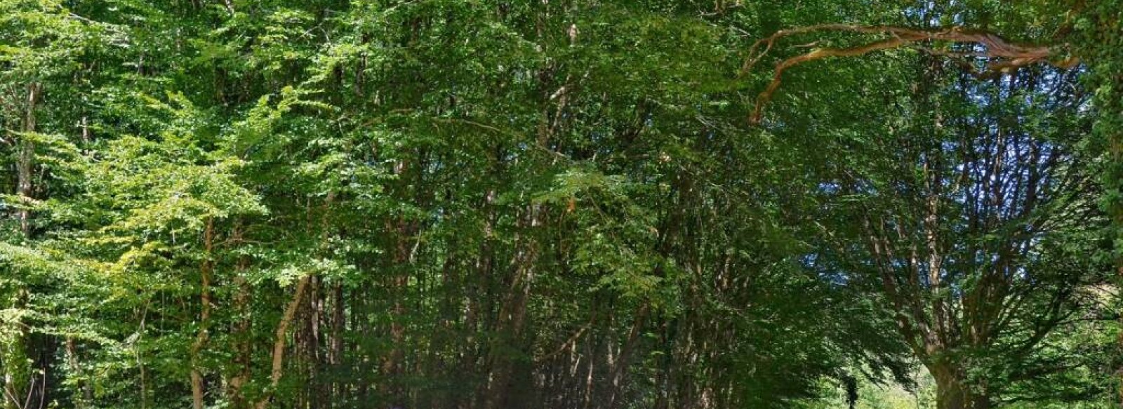 SENTIER DE RANDONNEE LES 2 PONTS A NOYANT