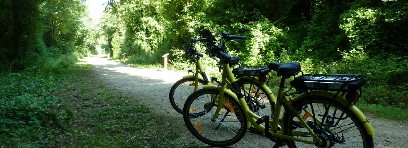 PARCOURS CYCLO - CAP SUR LA FORET DE PERSEIGNE