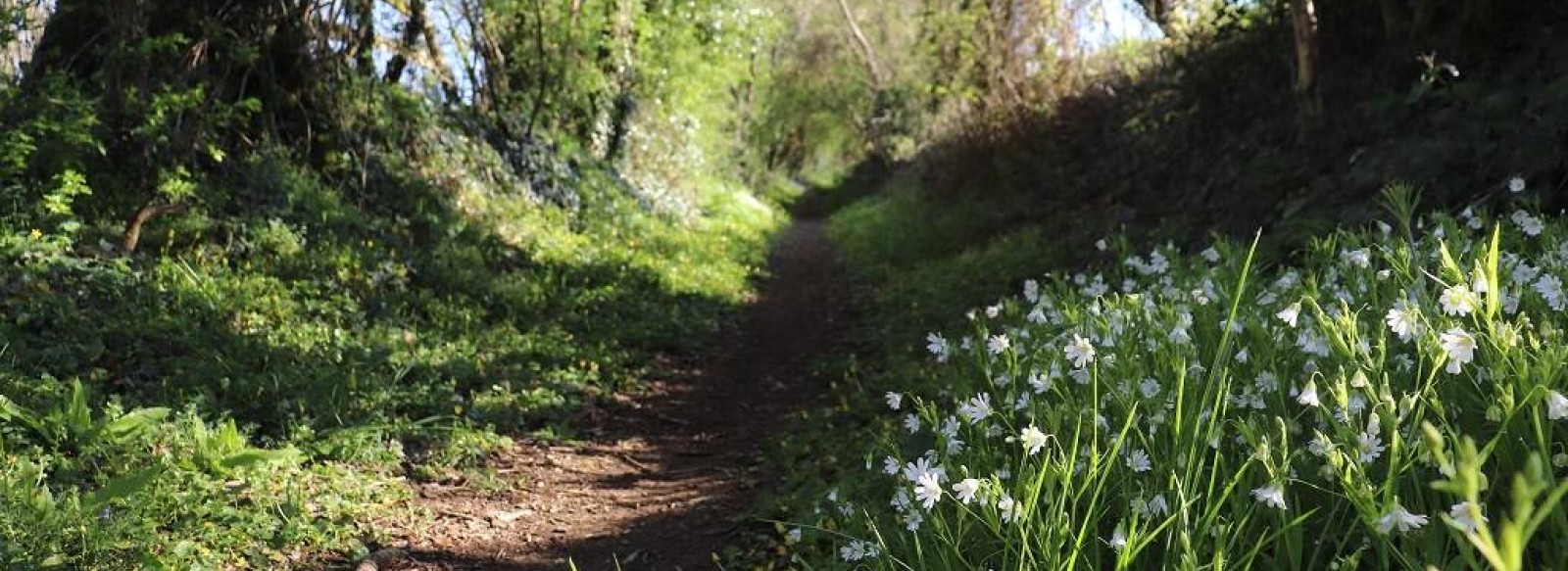 SENTIER DU PARC SOUBISE - VENDRENNES