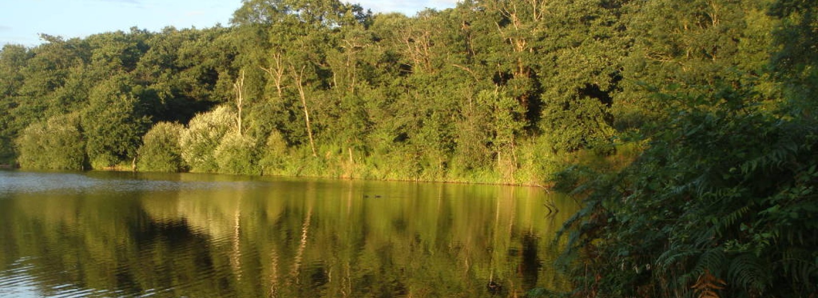 SENTIER D'AMANEA DU LAC DE LA VOURAIE