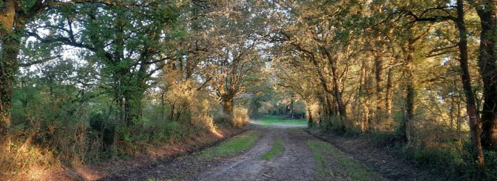 Sentier de la Battee