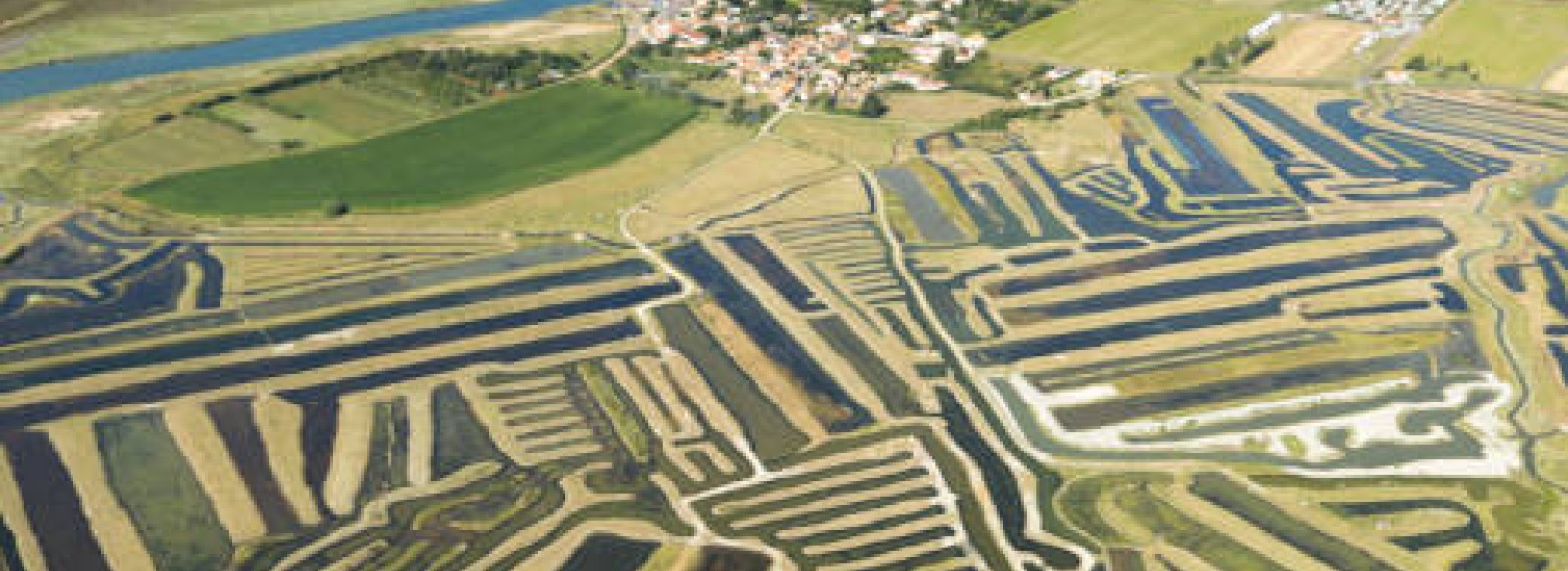 LES MARAIS DE LA GUITTIERE