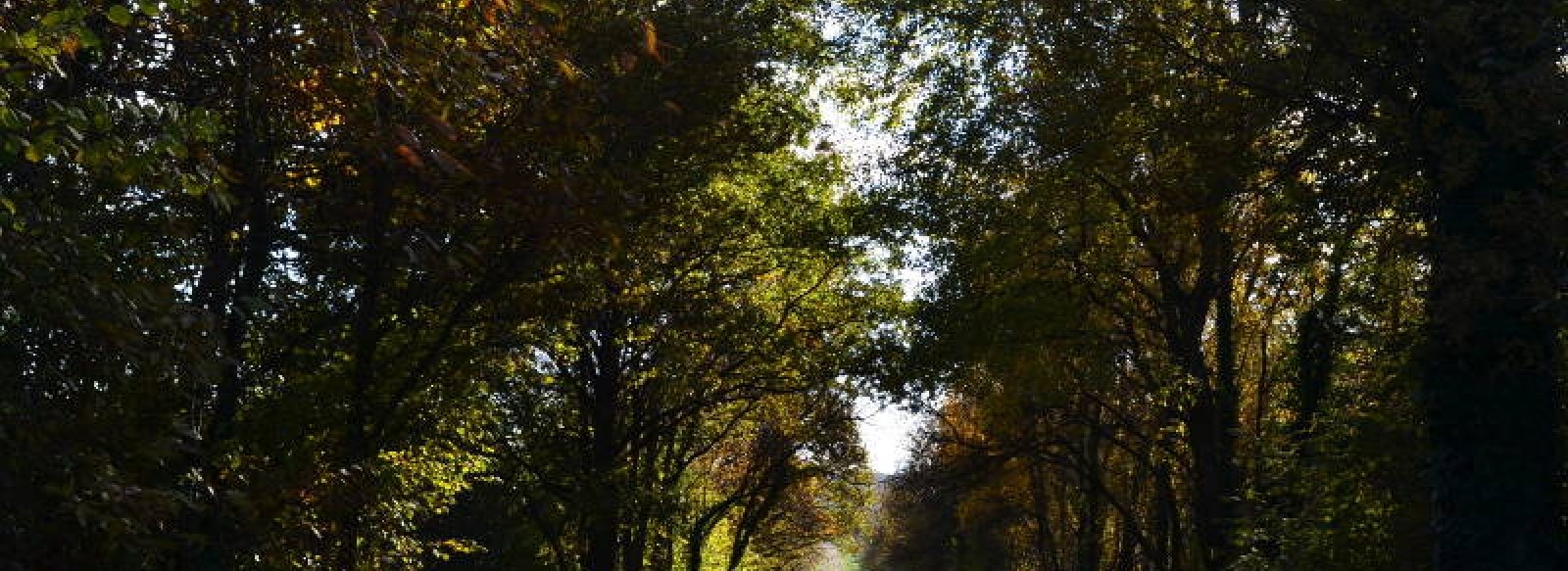 Circuit des Landes