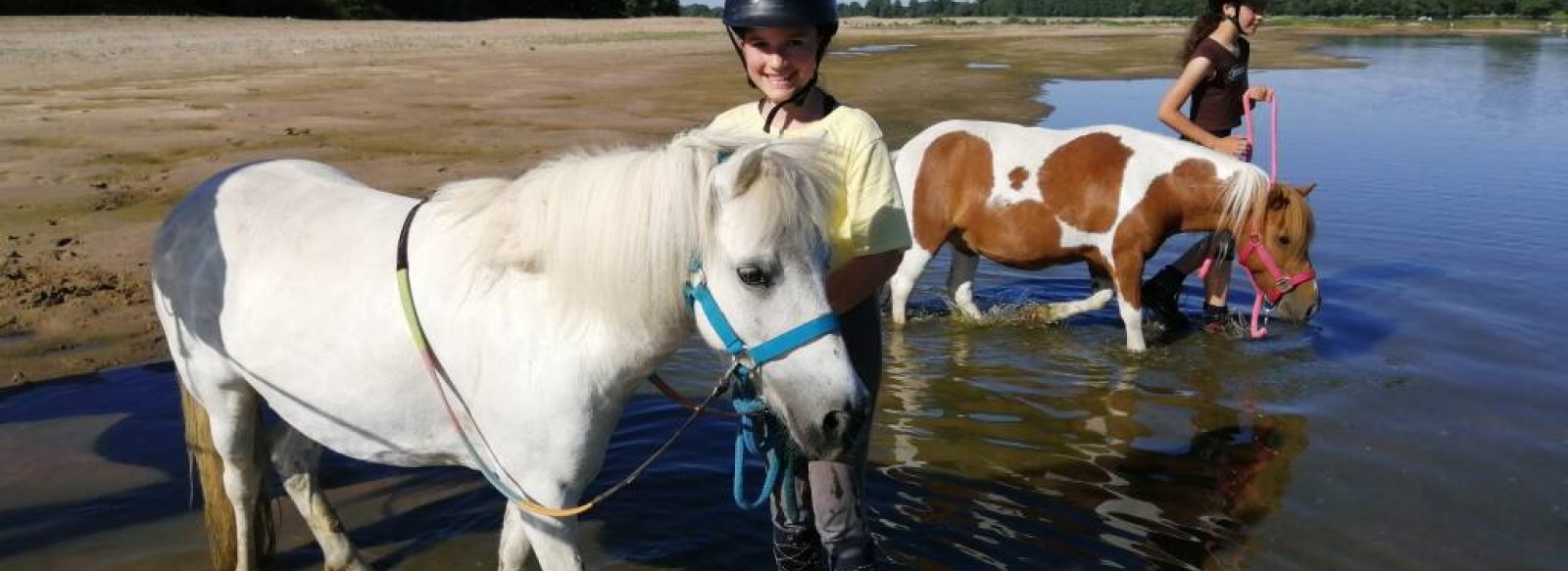 Poneys de Loire