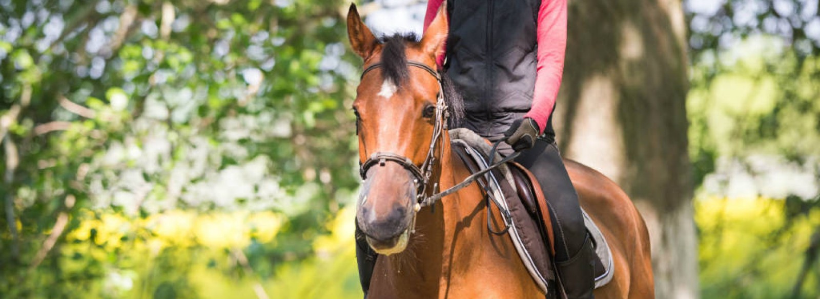 Centre equestre de Pontchateau