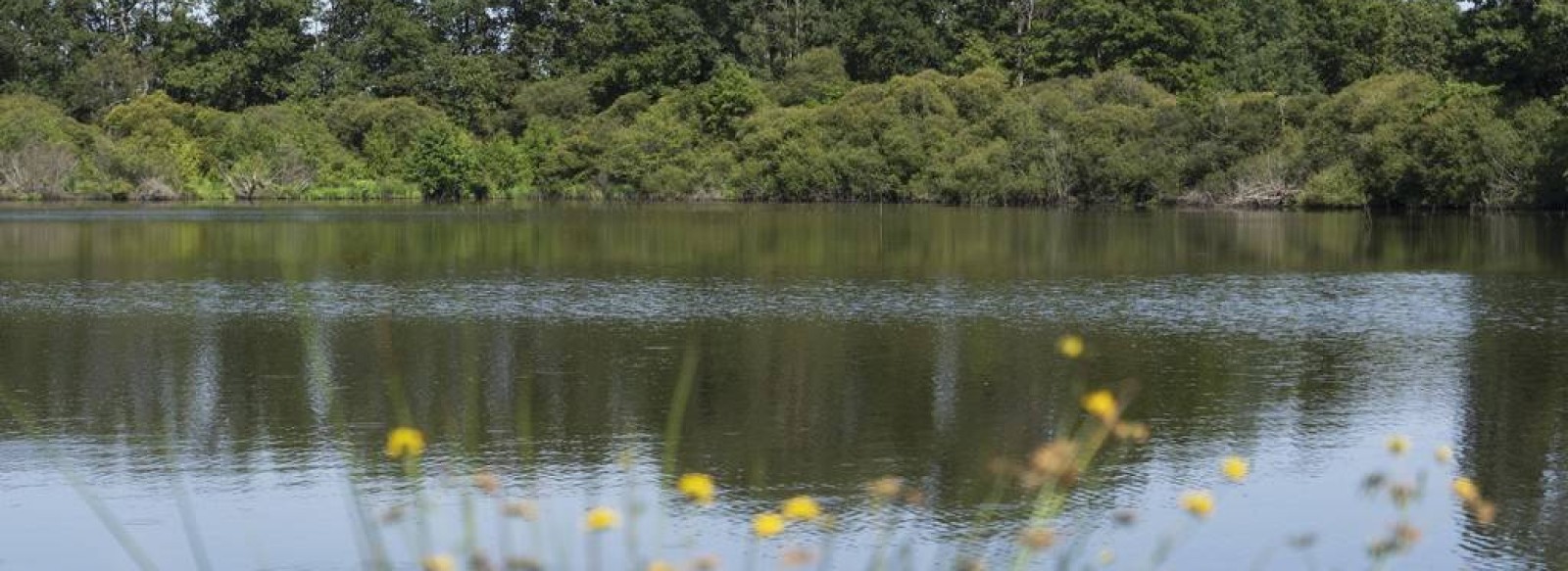 ETANG DE CLEGREUC