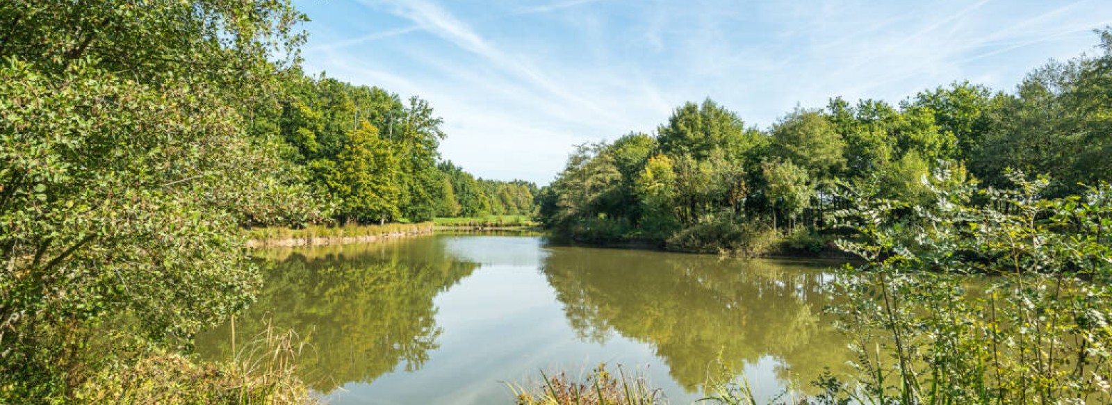 PLAN D'EAU DE CHANTEMERLE