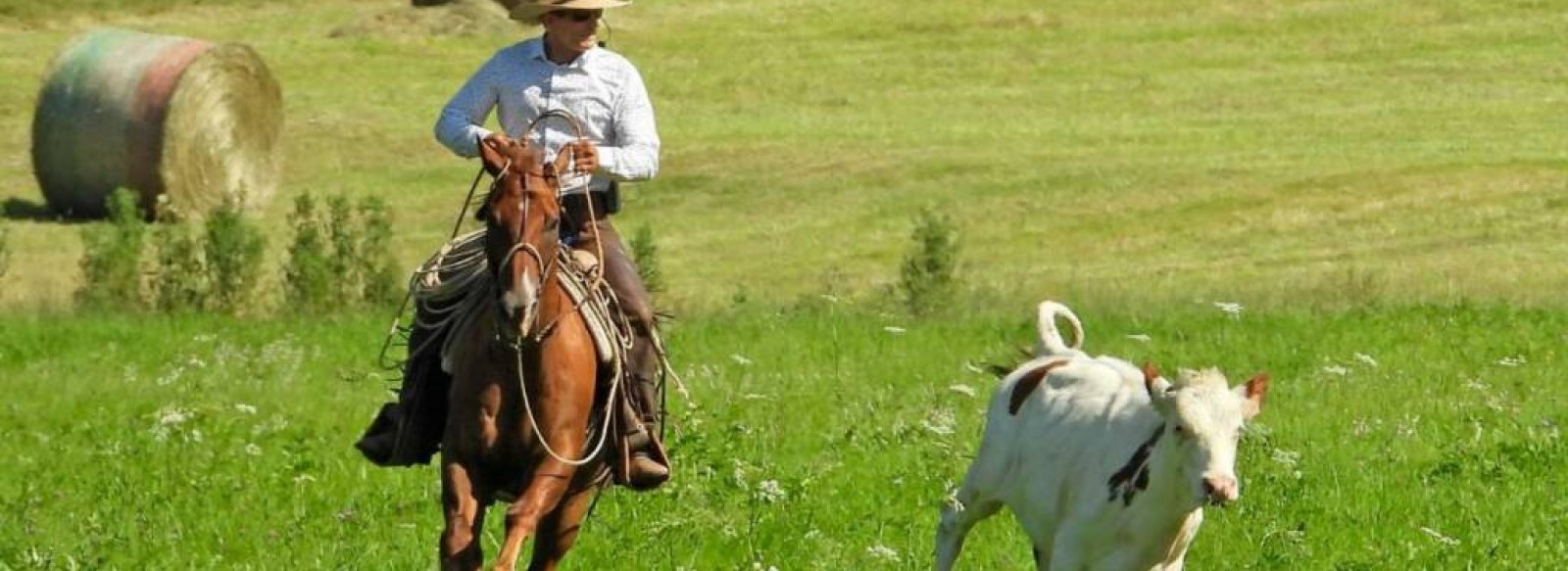 Centre equestre Equilandes