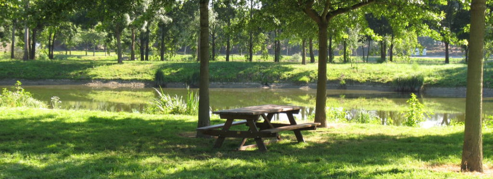 AIRE DE PIQUE-NIQUE DU PLAN D'EAU ROCHEFORT SUR LOIRE