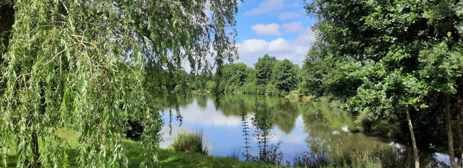 Aire de pique-nique Etang de Saint-Quentin-en-Mauges