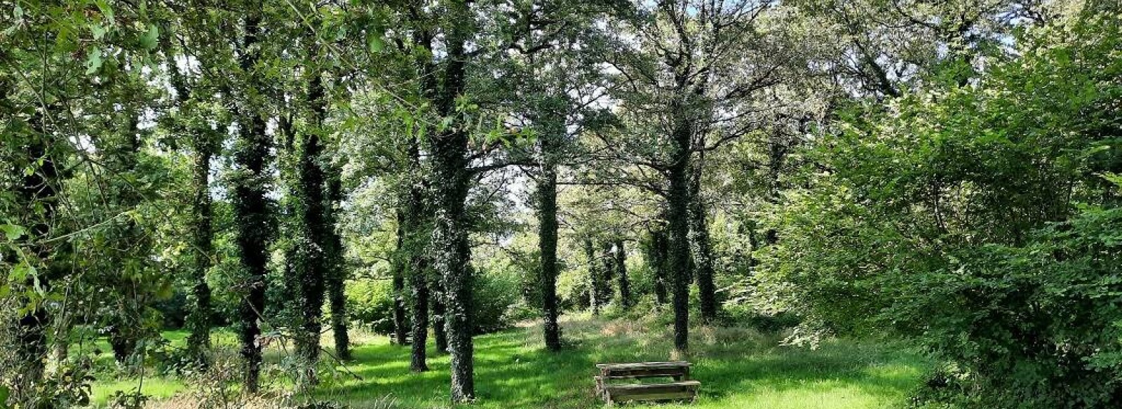 Aire de pique-nique de l'Etang du Pavillon